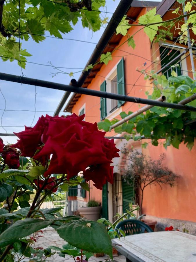 Ligo Bed & Breakfast Виланова д'Албенга Екстериор снимка