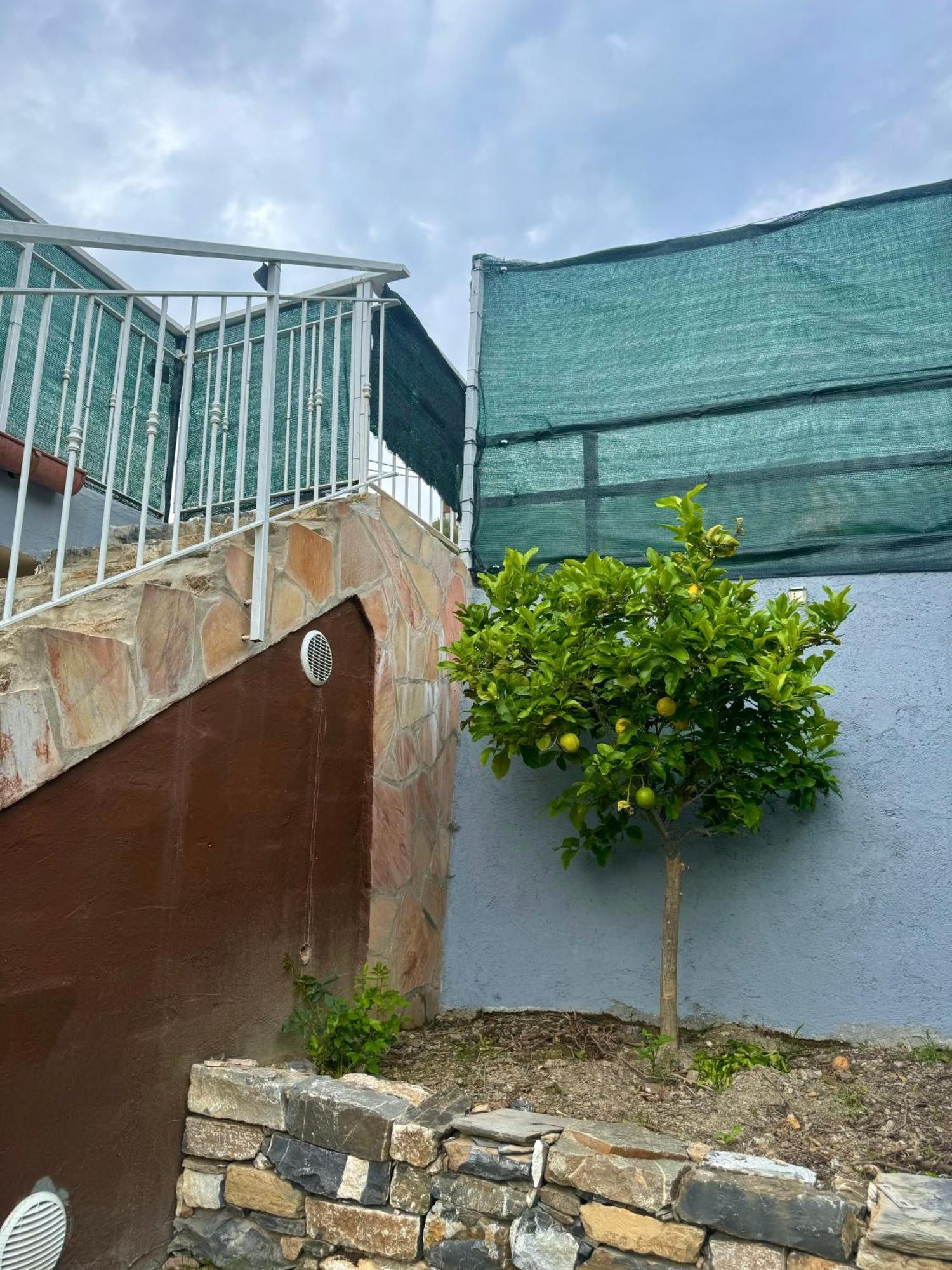 Ligo Bed & Breakfast Виланова д'Албенга Екстериор снимка